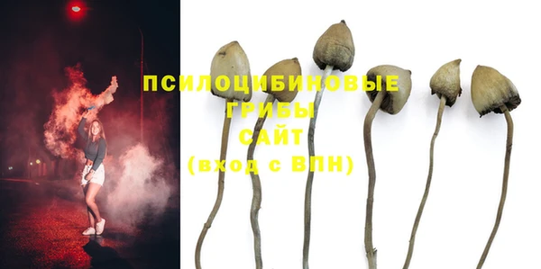 ГАЛЛЮЦИНОГЕННЫЕ ГРИБЫ Абинск