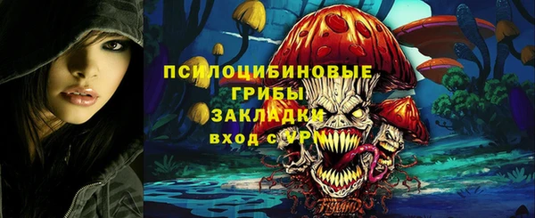 ГАЛЛЮЦИНОГЕННЫЕ ГРИБЫ Абинск