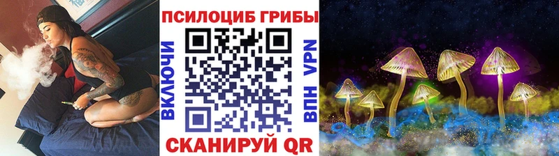 KRAKEN tor  Батайск  Псилоцибиновые грибы ЛСД 